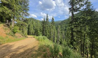 480 Dunn Peak Rd, Avery, ID 83802