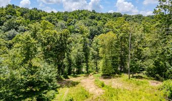 2291 Blankey Branch Rd, Beattyville, KY 41311