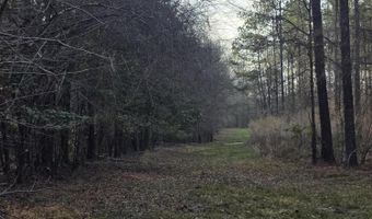 U.S. Highway 51, Bogue Chitto, MS 39629