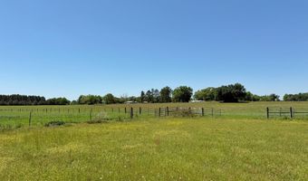 6491 Wolf Pond Rd, Bascom, FL 32423