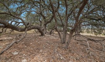 765 Annabelle, Bulverde, TX 78163