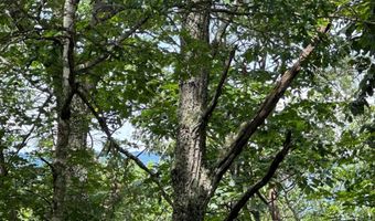 Lot 24 MT SNOW COURT, Basye, VA 22810