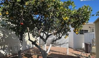 600 S. Idaho Rd 648, Apache Junction, AZ 85119