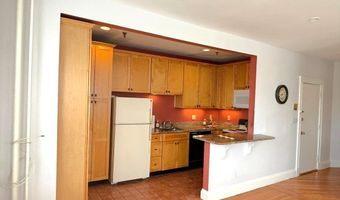 374 Chestnut Hill Ave Unit 24, Boston, MA 02135