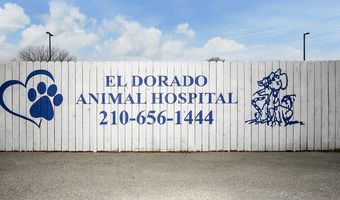 13039 Nacogdoches Rd, San Antonio, TX 78217