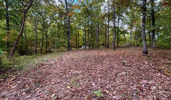 LONGVIEW LANDING LANE, Arley, AL 35541