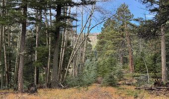 Vermejo Cir lot 15, Angel Fire, NM 87710