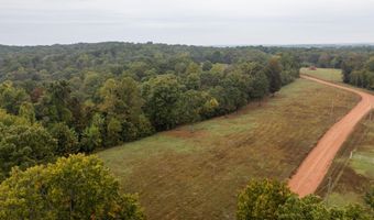 2421 Morrison Loop, Anderson, MO 64831