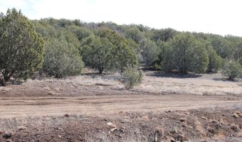 5079 N Pineveta Rd, Ash Fork, AZ 86320