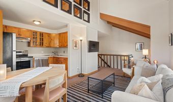 125 E Hyman Ave 1A, Aspen, CO 81611