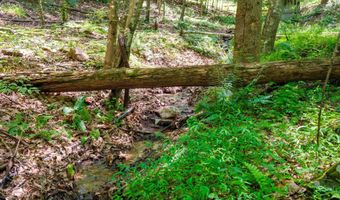 4375 TAYLOR CREEK Rd, Afton, VA 22920