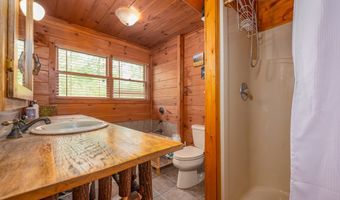 314 N Mallard Cv, Almond, NC 28702