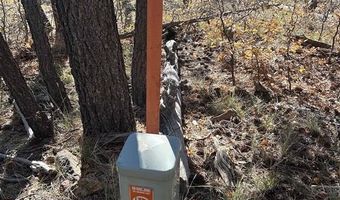 490 Hilltop Dr, Bayfield, CO 81122