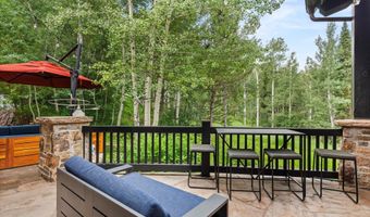 289 Exhibition Ln, Aspen, CO 81611