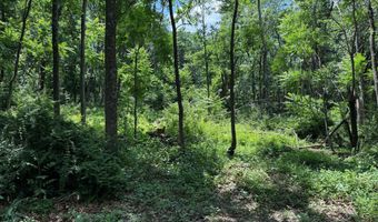 81 CABIN Rd, Augusta, WV 26704