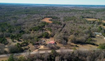 34655 Co Rd 49, Beaverton, AL 35544