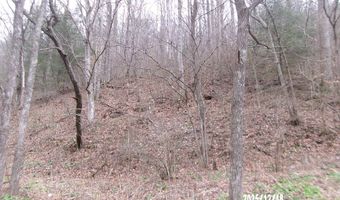 3675 Anawalt Ridge Rd, Anawalt, WV 24808