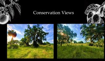 5477 SW 125TH Cir, Archer, FL 32618