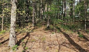 TBD Belvoir LN, Bella Vista, AR 72715