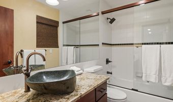 650 S Monarch St 4, Aspen, CO 81611