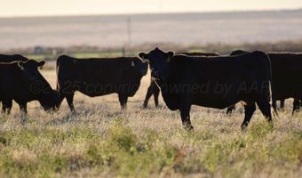 State Highway 214, Adrian, TX 79001