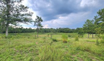 Lovedale Road, Bascom, FL 32423