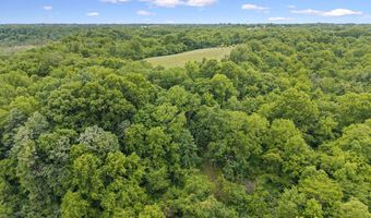 925 Lockmier Rd, Augusta, KY 41002