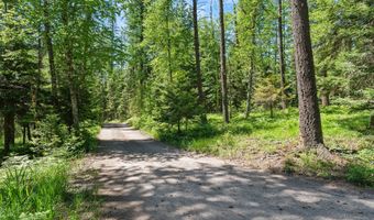 500 Wild Swan Trl, Bigfork, MT 59911