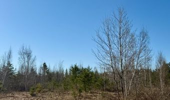 35504 Jackson Rd, Askov, MN 55704