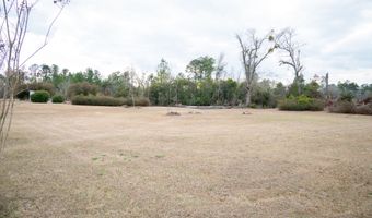 963 Springhill Church Rd, Alamo, GA 30411