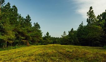 1037 Cr 300, Big Creek, MS 38914