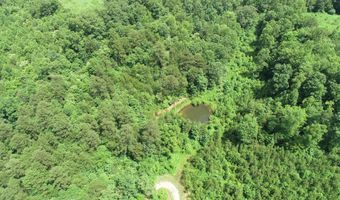 800 Pond Lick Rd, Annville, KY 40402