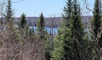 8 Acres E Cable Lake Rd, Amasa, MI 49903