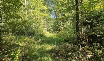 1230 Pinkham Rd, Burke, VT 05832