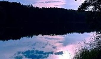 16568 WAGNER Rd, Almira, MI 49650