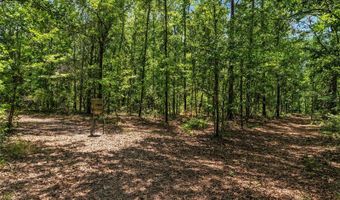 4814 NW 244 Ave, Alachua, FL 32615