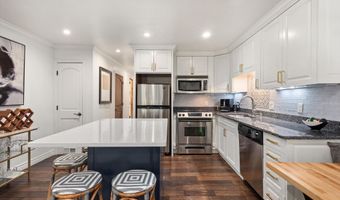 100 E Dean St 2D, Aspen, CO 81611