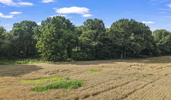 Old Jackson Road, Bells, TN 38006