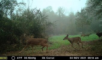 000 Hwy 105, Atkins, AR 72823