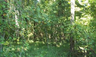 2200 Gillionville Rd, Albany, GA 31707