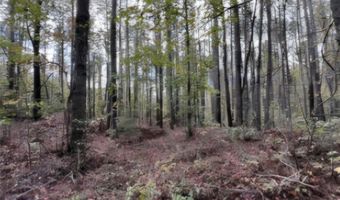 Jim Allred Road, Bankston, AL 35542