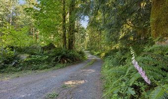 66295 E CRYSTAL CREEK Rd, Brightwood, OR 97011