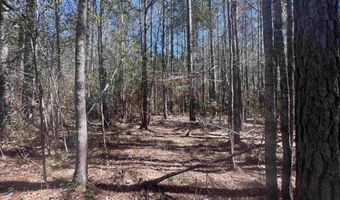 10 Robinsonville Rd, Atmore, AL 36502