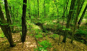 4376 VT-22A, Bridport, VT 05734