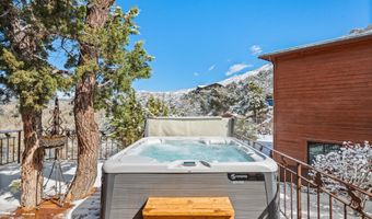 255 Little Pinon, Basalt, CO 81621