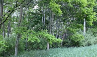 Parcel A Cemetery Road, Alden, MI 49612