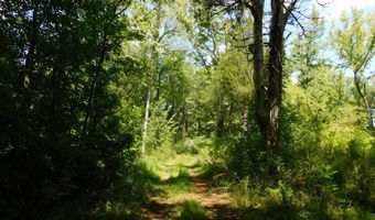98 63 AC Pointer Rd, Alton, VA 24520