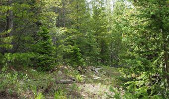 0 Gamble Gulch, Black Hawk, CO 80422