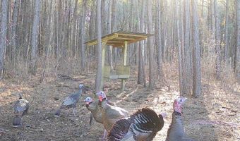 133 Trailwood Cir, Bamberg, SC 29003