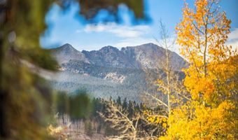 224 S Ridge St, Breckenridge, CO 80424